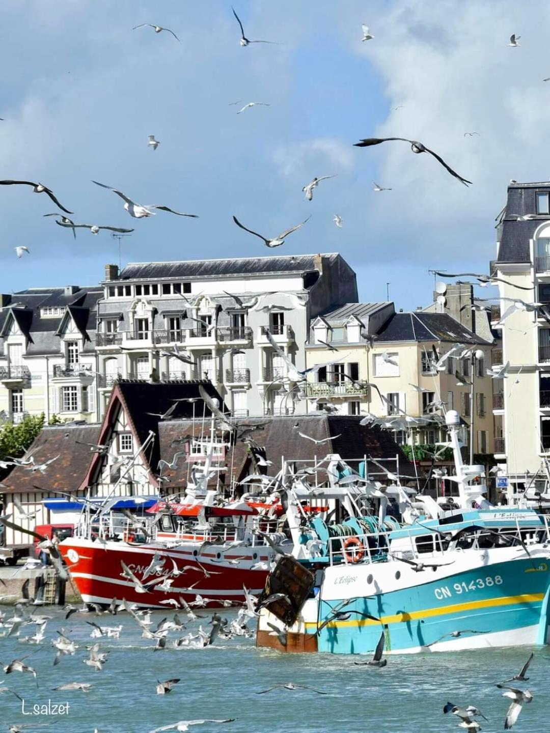 Studio De Charme A Trouville Sur Mer. エクステリア 写真